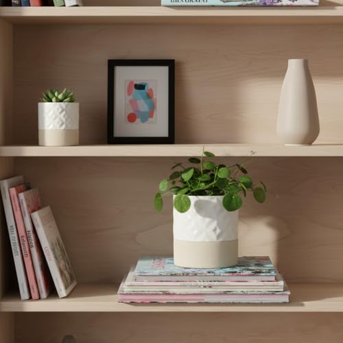 Self Watering Plant Pot for Indoor Plants