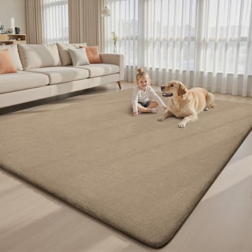 6x9 Area Rugs for Living Room Bedroom