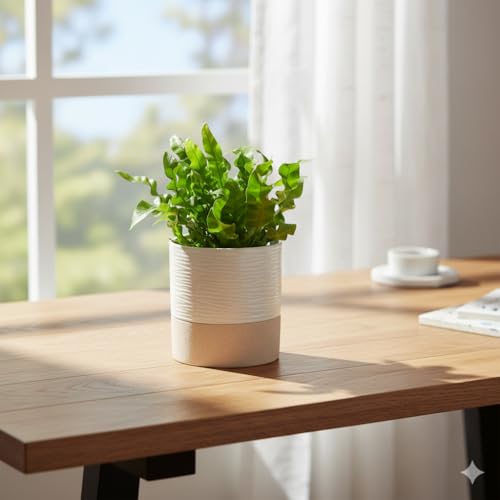 Ceramic Self Watering Plant Pot for Indoor Plants (2 Count)