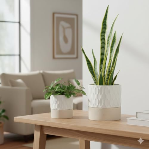 Ceramic Self Watering Plant Pot for Indoor Plants