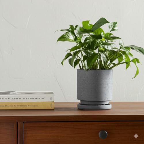 Ceramic Plant Pot Drainage Hole & Saucer for Indoor Plants