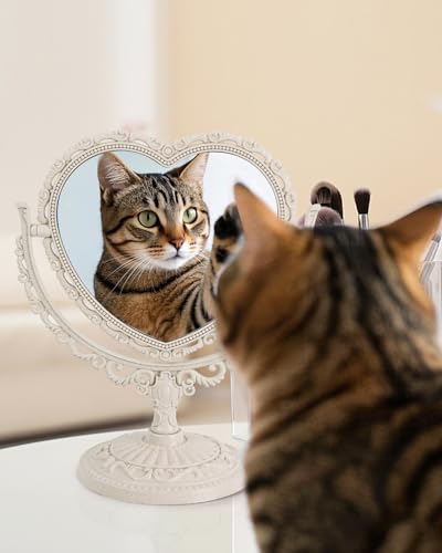 Vintage Heart Mirror for Desk Cute Coquette Room Decor
