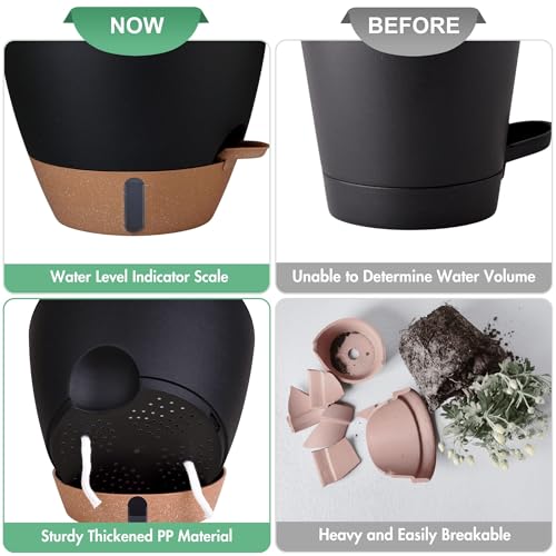 5 Pack Easy Plant Self Watering Pots for Indoor Plants (5 Count)