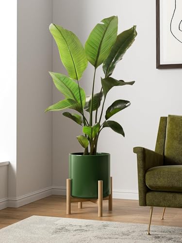 12 Inch Pot for Plants