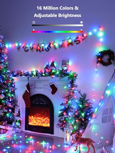 Smart RGB Fairy Lights