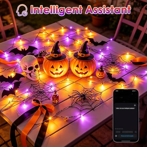 Smart Color Changing Fall Lights String 33 FT 100 LED App Remote
