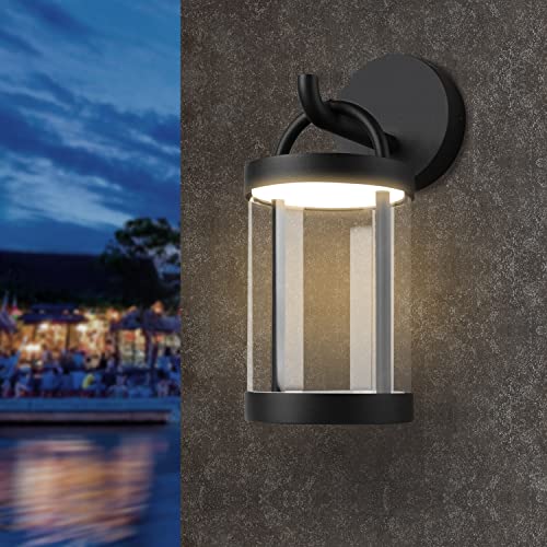 LED Wall Sconce Light Outdoor