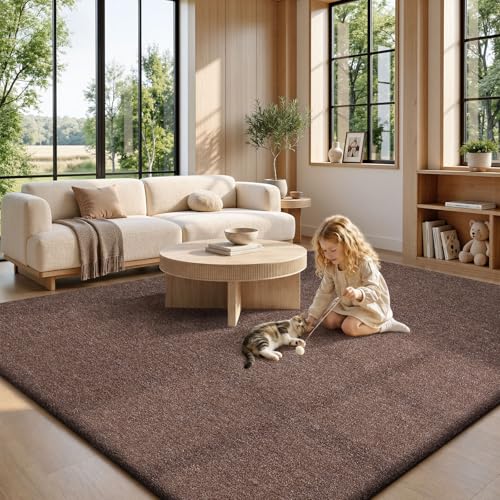 Area Rugs 9x12 for Living Room Bedroom (108 Sq Ft)