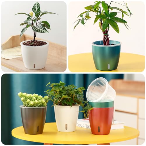 Self Watering Pots for Indoor Plants