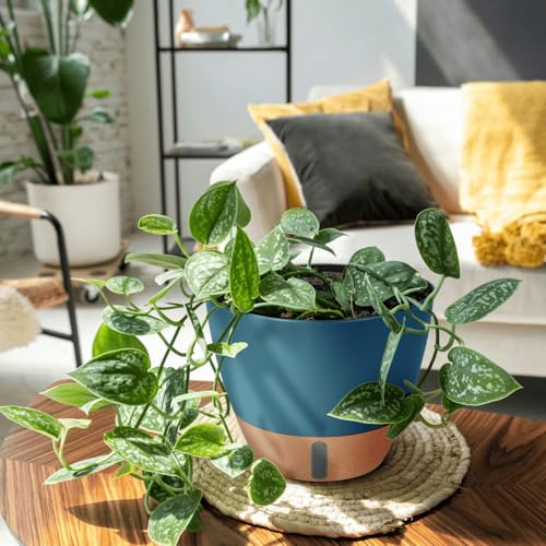12/10/8 Inch Self Watering Pots for Indoor Plants Plastic Large Plant Pots for Outdoor Plants, Water Level Window & Spacious Reservoir Flower Pots Decorative Planter with Drainage and Tray (3 Count)