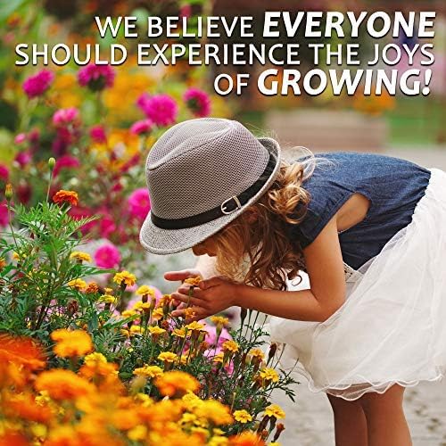 All Annual Wildflower Mix Seed for Planting - 1 Lb ~16,000+ Seeds - 21 Varieties Including California Poppy, Indian Blanket, Scarlet Flax, & More - Attracts Pollinators - Bulk Wildflower Seeds