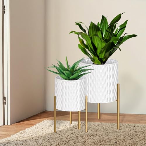 Plants Pots with Stand (2 Count)