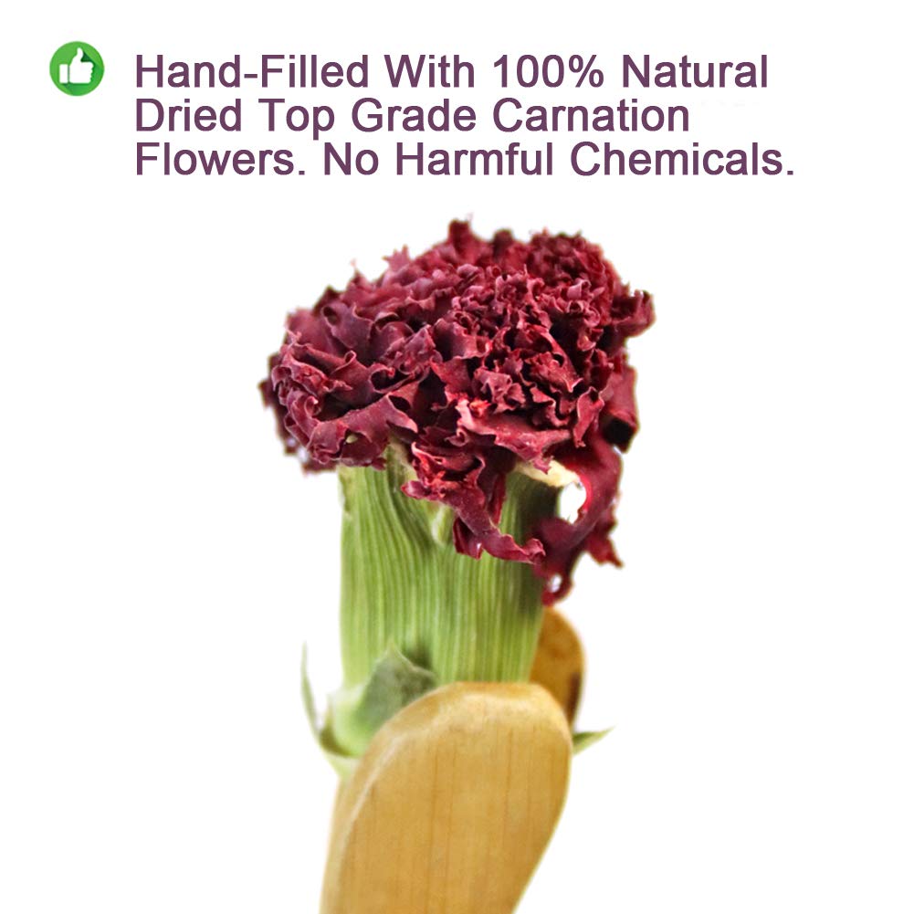 Plant Gift 100% Herbal Carnations Flowers Tea,Chinese Flower tea, 100% natural carnation tea health 45g/1.58oz