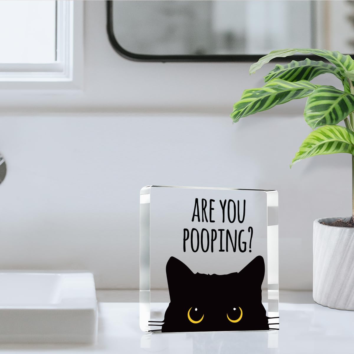 Are You Pooping Funny Sign,Black Cat Decor, Cat Bathroom Decor,Home Decor Bathroom Acrylic Creative Gift Cat Gifts for Women Cat Lovers,Funny Decorate Retro for Home Toilet 4x4 Inches