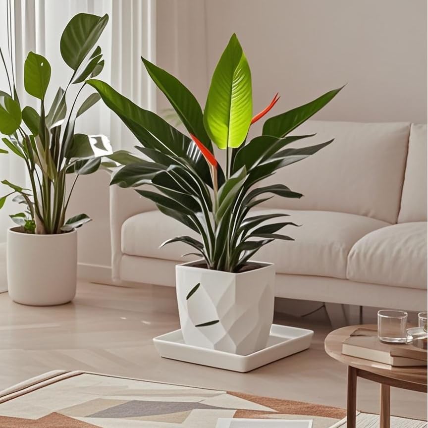 Square Plant Saucer 10 Inch 1 Pack,Plant Trays for Pots, White Ceramic Plant Saucers for Indoors Outdoors, Plant Drip Tray 4 6 8 10 12 14 Inch