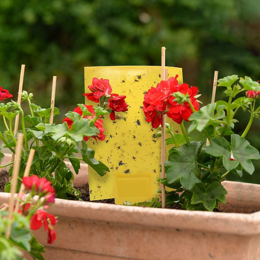 Gideal 30-Pack Dual-Sided Yellow Sticky Traps for Indoor Outdoor Flying Plant Insect Fungus Gnats, Whiteflies, Aphids, Leafminers,Thrips (6x8 Inches, Included 30pcs Twist Ties)