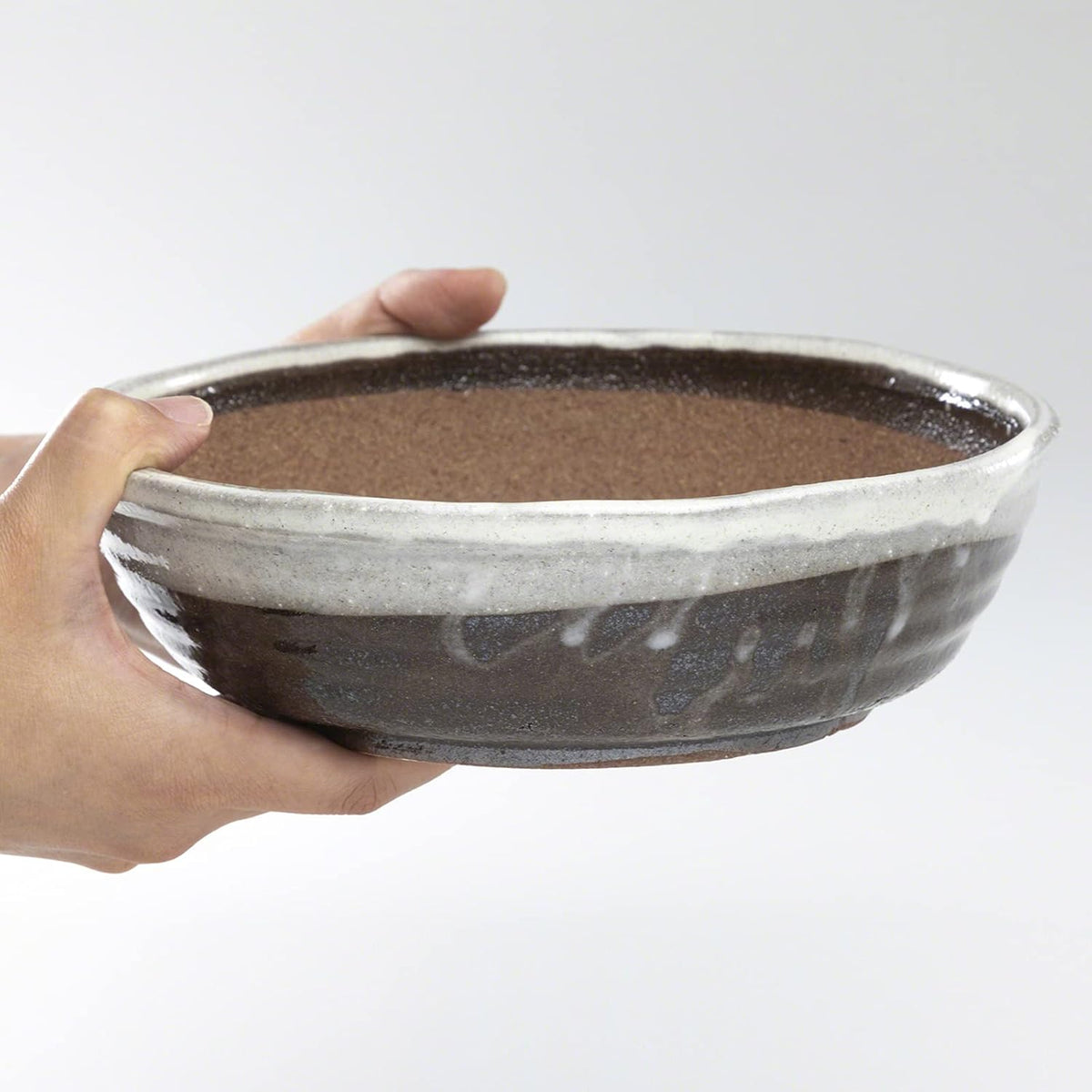 Wazakura Shigaraki Series Handmade White Stripe Glazed Ceramic Bonsai Pot with Drainage Hole, 8.2 (210 mm) Made in Japan, Garden Training Container, Flower Planter, Succulent Bowl - Big Size
