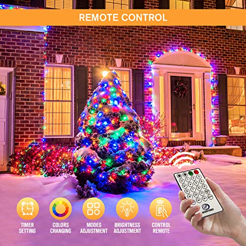 500 LED Color Changing Christmas Lights (163 Foot)