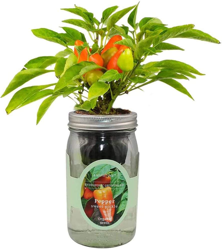 Hydroponic Pepper Growing Kit, Self-Watering Mason Jar Vegetable Starter Kit Indoor, Grow Peppers from Organic Seeds (Sweet Pickle Pepper)
