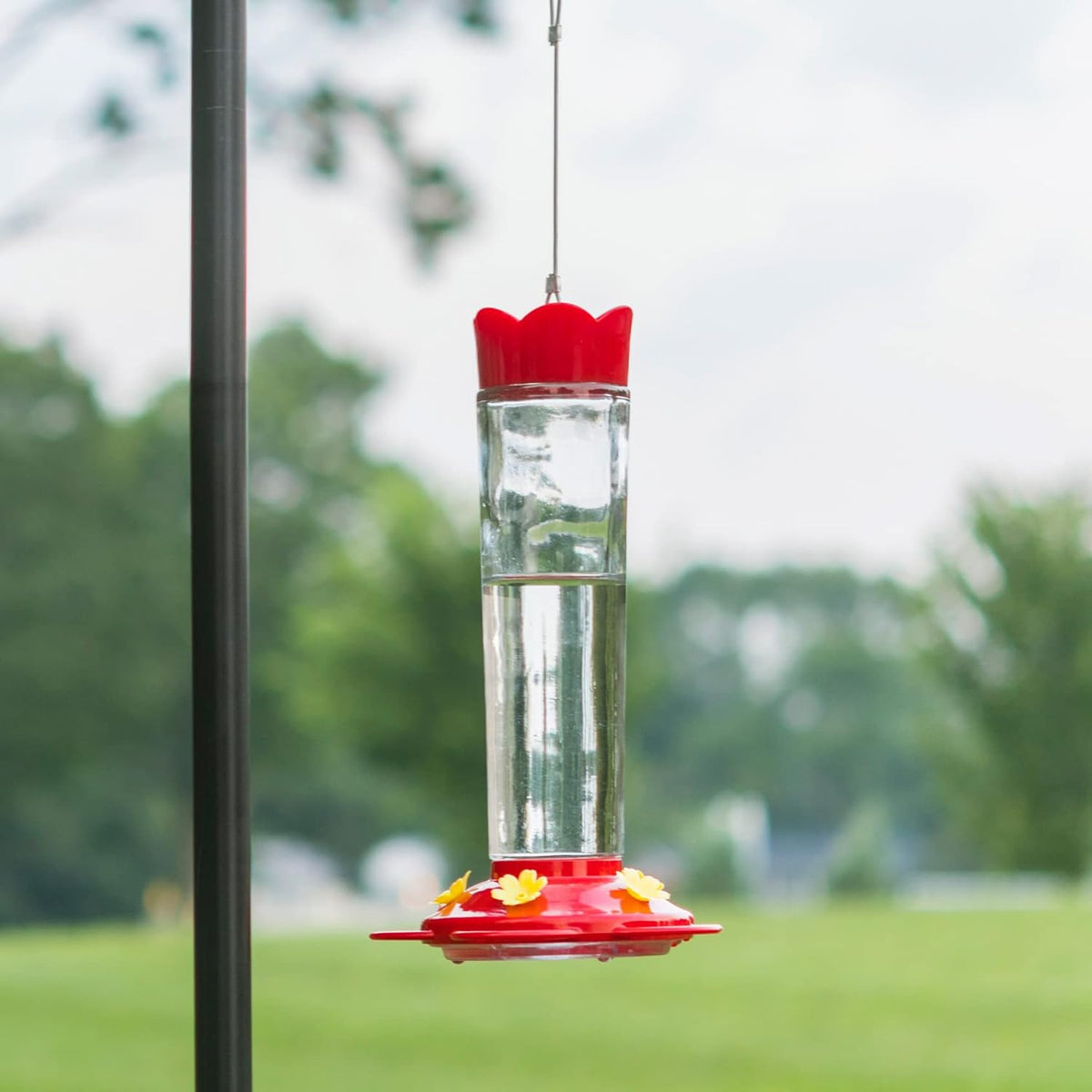 MEKKAPRO Outdoor Hummingbird Feeder Made from Glass, Hanging 5 Nectar Feeding Stations, Bright Red, Backyard Feeder (20 Ounce)