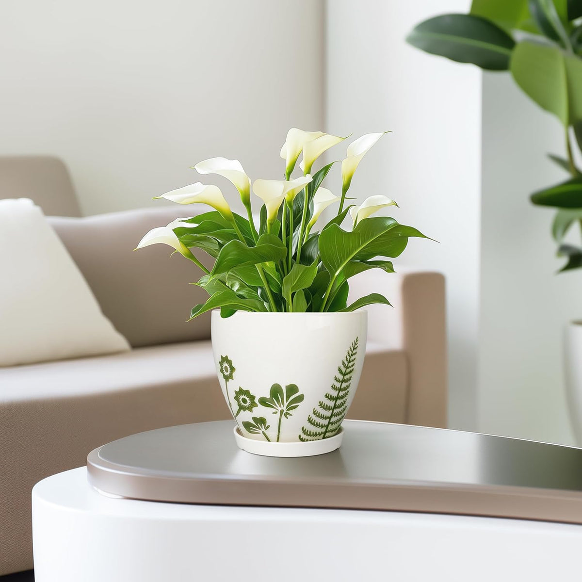 Indoor Plant Pot 6.8 Inch - Ceramic Planter for Indoor Flowers with Drainage Hole and Saucer, Boho Round Decorative Outdoor Flower Pot, Gifts for Plant Lovers, Garden Office Home Decor, White
