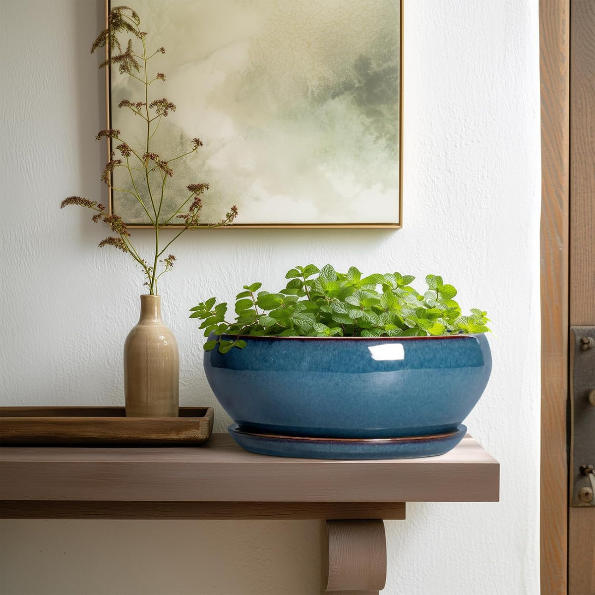 SQOWL Bonsai Pots 10 Inch - Large Ceramic Succulent Pots, Shallow Planter with Drainage Hole and Saucer, Round Planter for Indoor Outdoor, Bowl Planters, Patio Decor, Gifts for Plant Lover, Blue