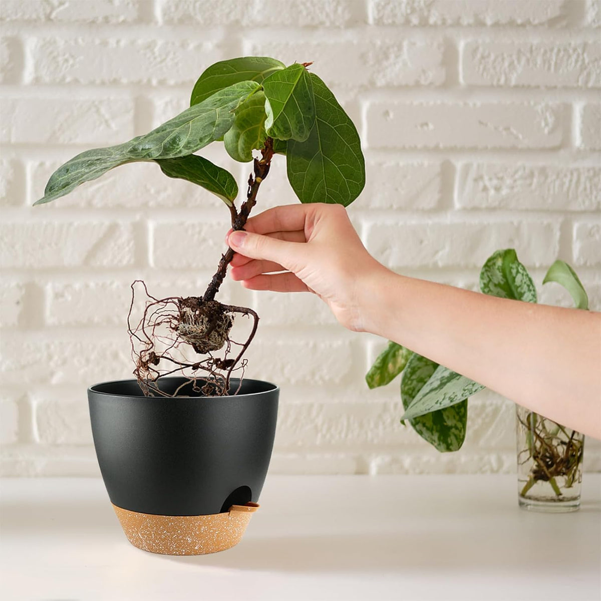 Indoor Pots For Plant Self Watering Plant Pots For Lazy People, 8/7.5/7/6.5/6/5.5/5 Inch,Black Plastic Self Watering Planter For All Houseplants,Succulent, African violets, Flowers And Cactus