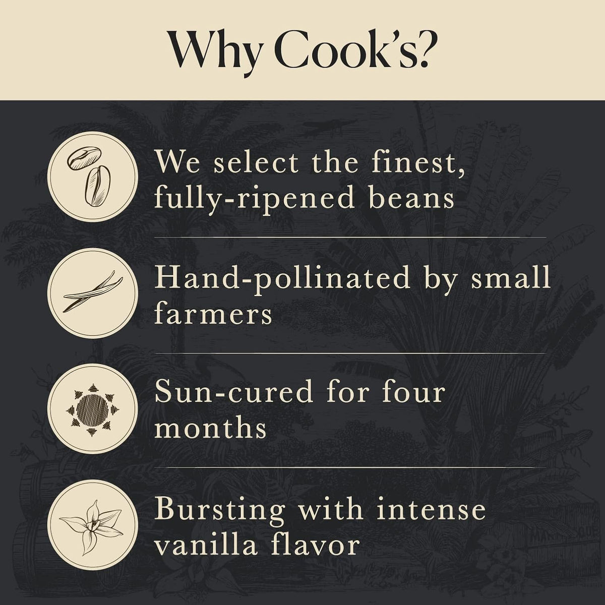 25 Organic Madagascar Whole Vanilla Beans, Grade A Pods, Premium Vanilla Beans for Making Extract & Baking - Cook’s