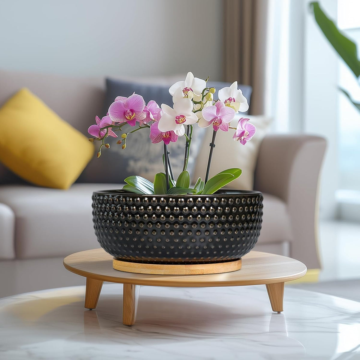 Bonsai Tree Pot - 8 Inch Ceramic Succulent Planters with Drainage and Plant Tray, Boho Round Shallow Bowl for Indoor Plants, Office Decor, Housewarming Gift, Black