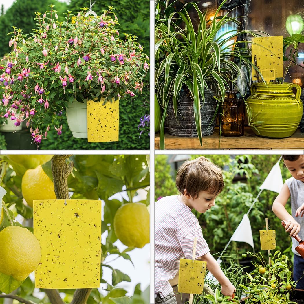 Gideal 50-Pack Dual-Sided Yellow Sticky Traps for Flying Plant Insect Fungus Gnats Whiteflies Aphids Leafminers Thrips (6x8 Inches, Included 50pcs Twist Ties)