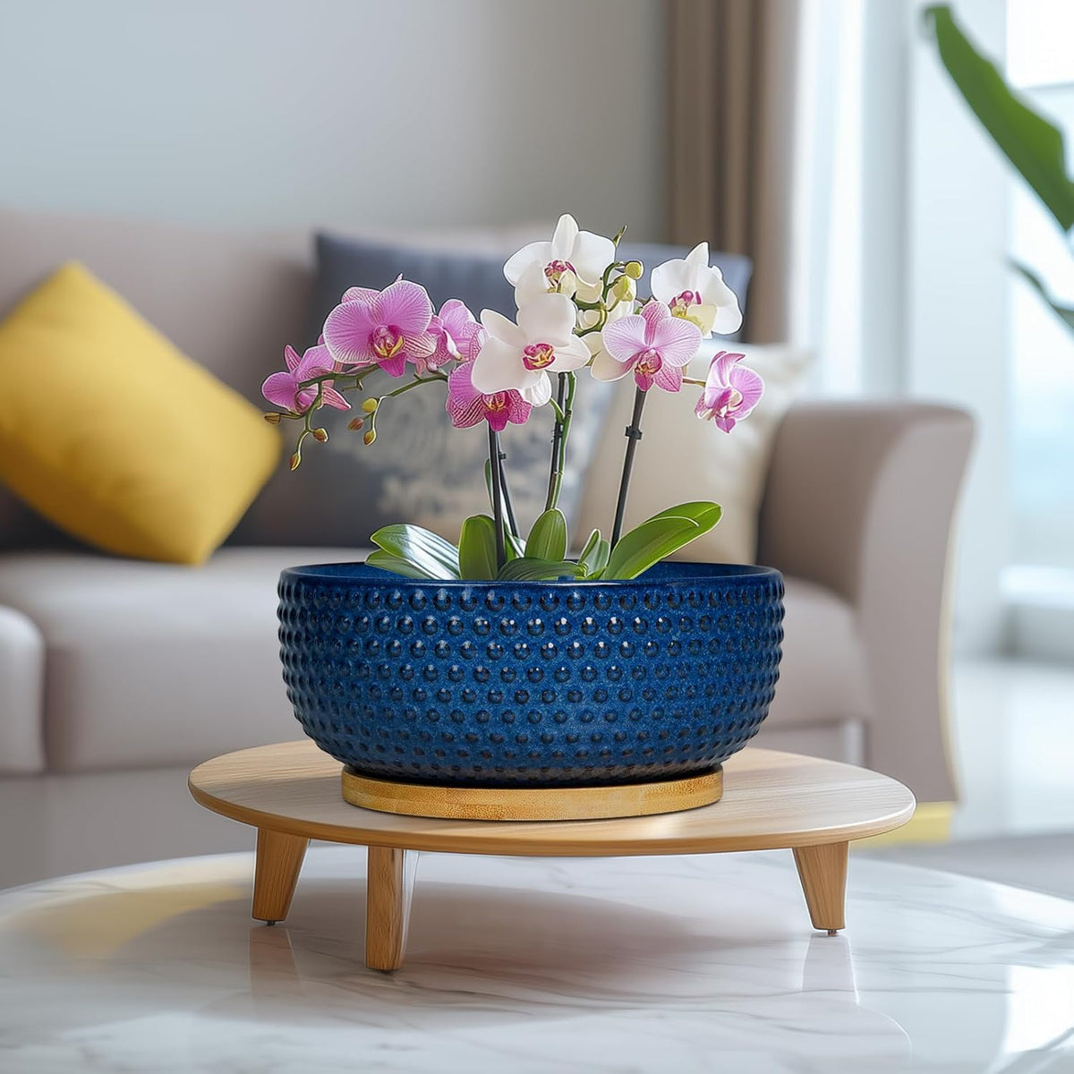 Bonsai Pots - 8 Inch Ceramic Pots for Succulent Plants & Bonsai Tree, Planter with Drainage Hole and Saucer, Modern Round Decorative Flower Planters, House Decor, Gifts for Women Man, Blue