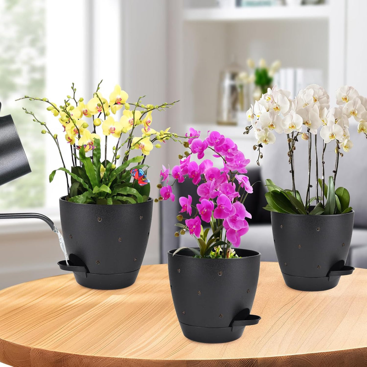 6 Inch Orchid Pots with Holes, 2 Pack Self Watering Planters for Orchids Plastic Orchid Pot Plant Flower Pots for Orchids Indoor Outdoor (Black)