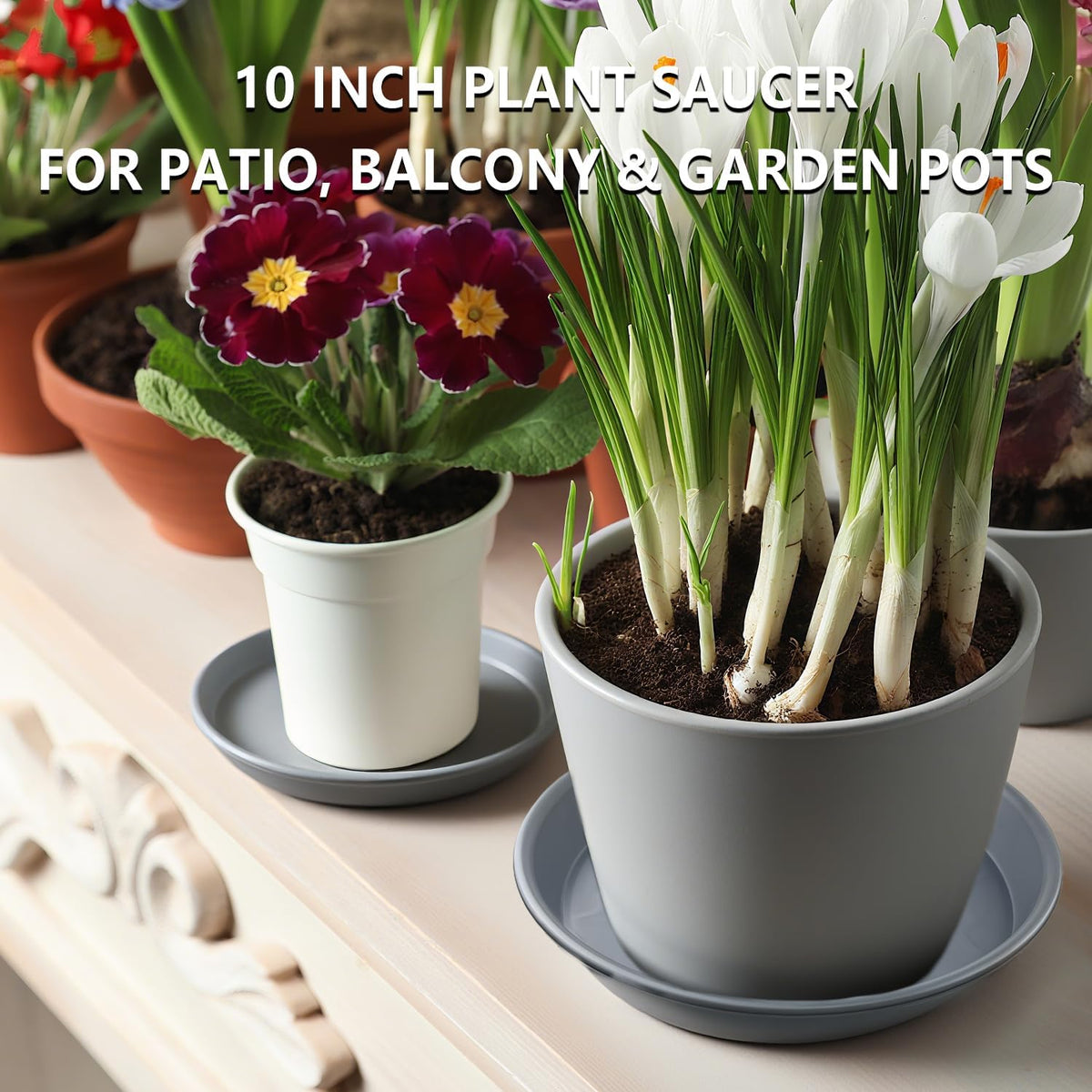 6 Pack 10-Inch Gray Plant Saucer Trays, Heavy Duty Plastic PP Pot Bases for Medium & Large Flower Pots, Durable Water Catcher Plates & Drip Trays for Indoor Outdoor Gardening Use