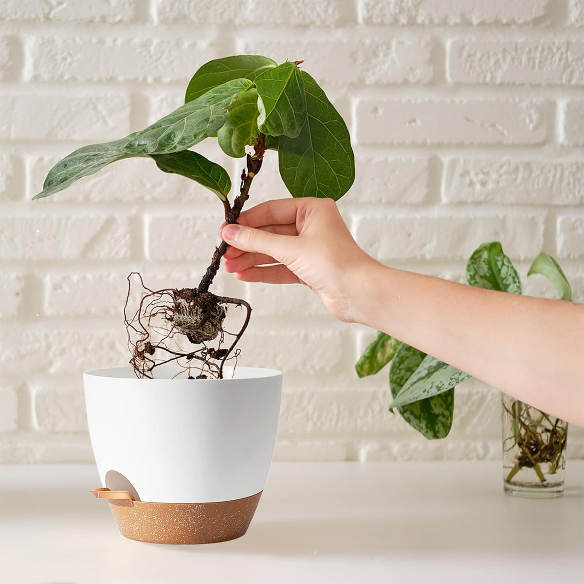 White Self Watering Pots with Drainage Planting Pot for HousePlants Plastic Flower Pots Outdoor Plant Pots Gift Idea Decorative Flower Pots Draining Pots for Indoor Plants