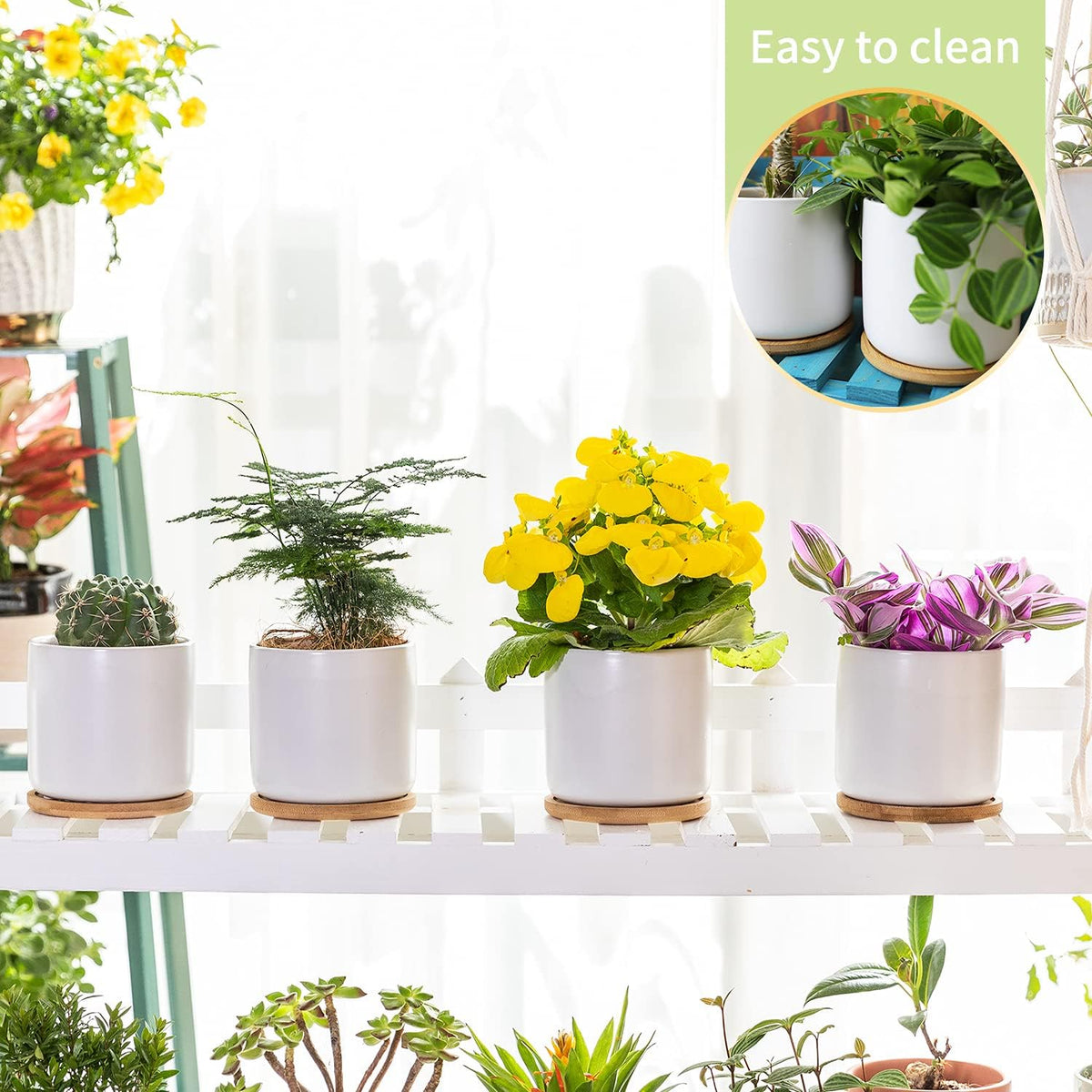 4 Inch Ceramic Plant Pots with Drainage Holes and Trays, Adorable Small Cylinder Flower Planter Pot with Saucers for Indoor Plants, Succulent, Snake Plants, Cactus & Herbs, White, Set of 4