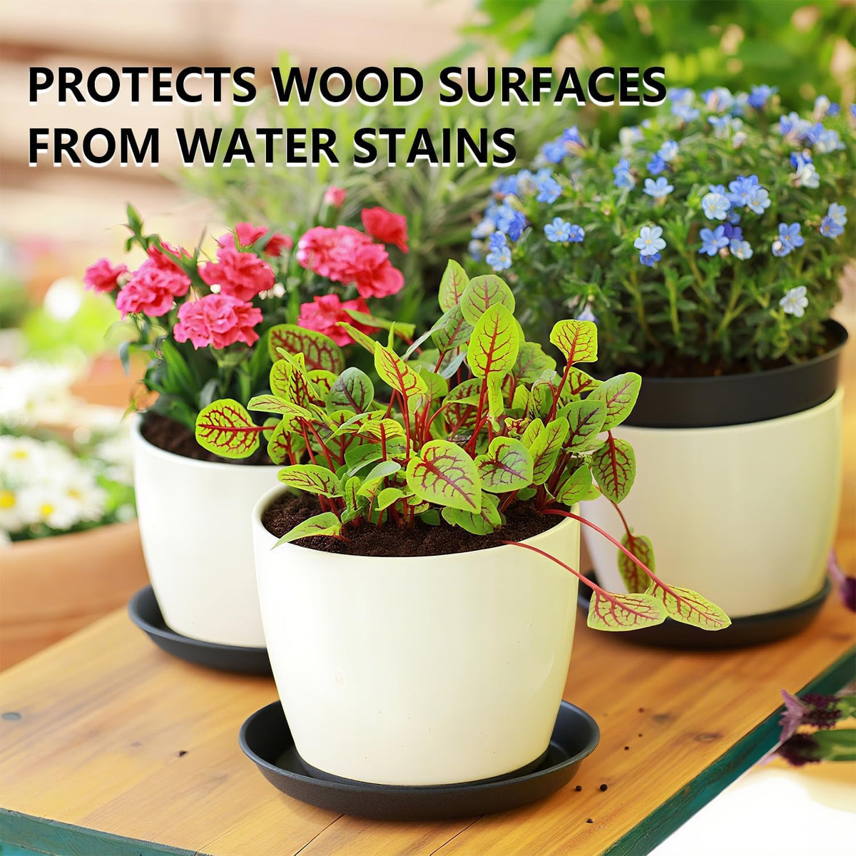 6 Pack 10 Inch Black Round Plant Saucers, Thick PP Plastic Pot Trays for Large Planters, Durable Flower Pot Water Catcher Plates & Drip Trays for Indoor Outdoor Gardening