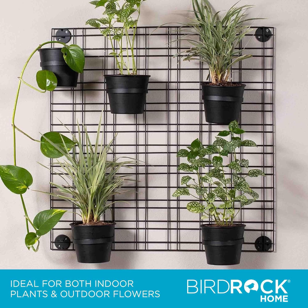 BIRDROCK HOME 6 Pot Garden Wall Grid - Flower or Succulent Planter Pots - Indoor or Outdoor Plant Organizer Rack - Black
