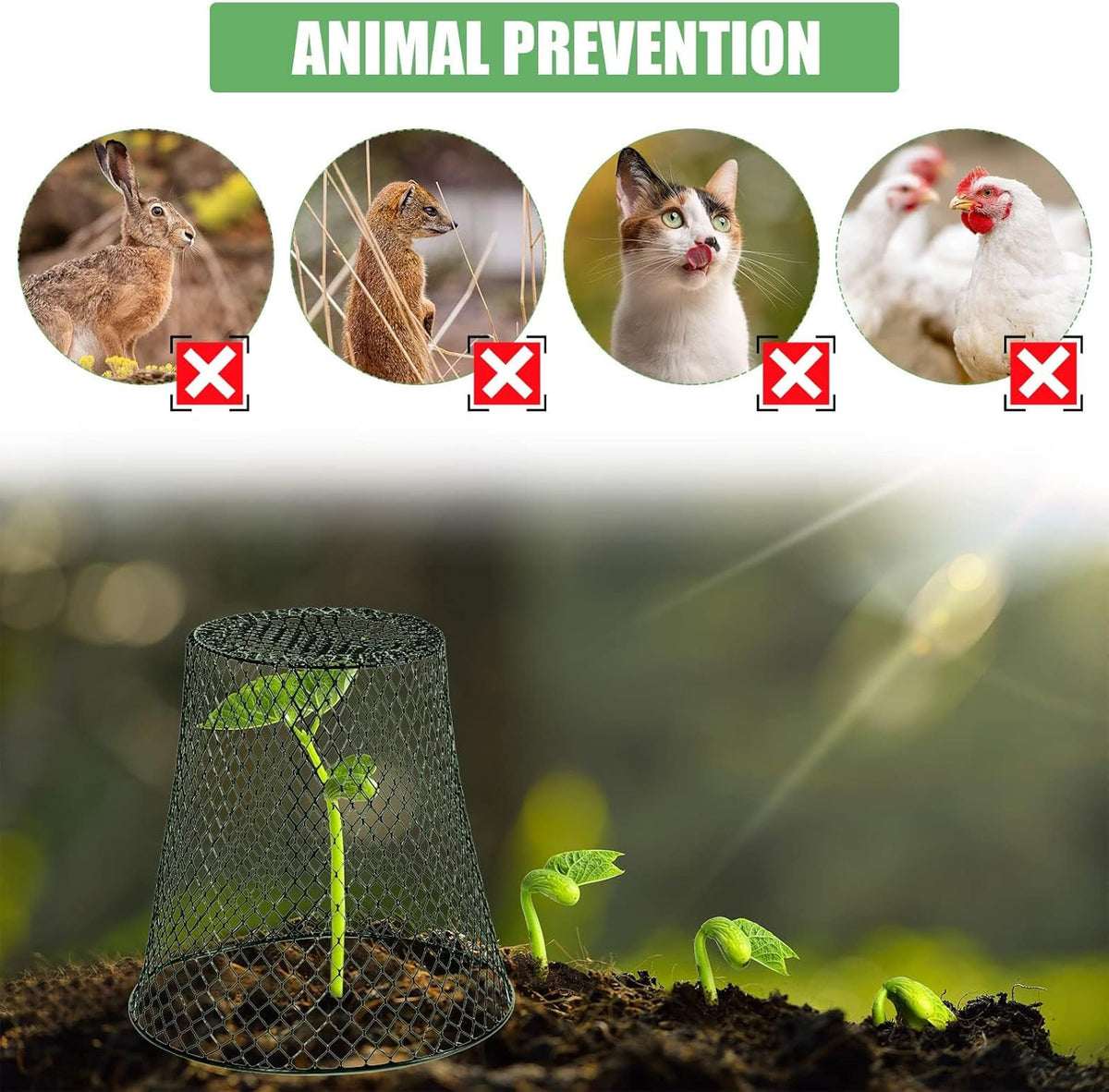 10 Pcs Garden Chicken Wire Plant Covers, 11x11Inch Metal Wire Garden Cloches Chicken Wire Cloche Plant Protector Heavy Duty Garden Plant Cloche for Keeping Bunnies Chicken Squirrels Birds Other Out
