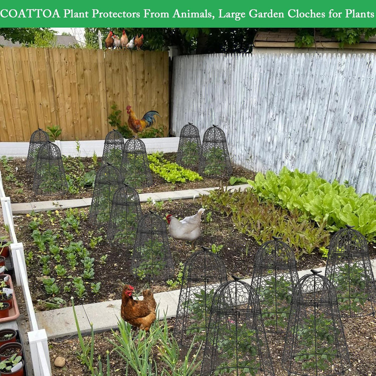 Plant Protector Chicken Wire Cloche 4 PCS, Plant Protectors from Animals, 18.7×12 Inch Large Garden Cloches for Plants, Sturdy 2-in-1 Cloche Dome for Plants, Plant Protectors for Easy Pruning