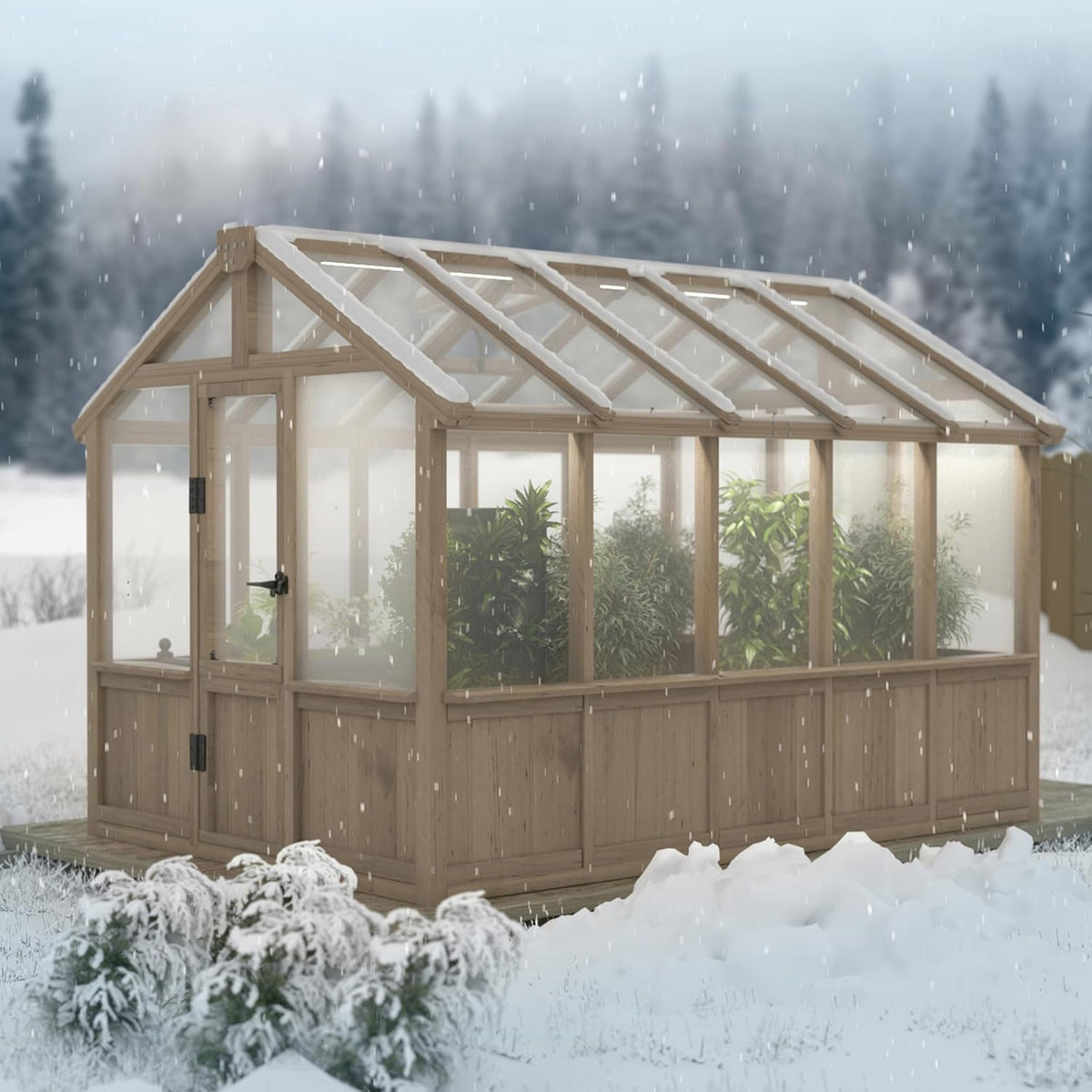 BlueWish 6x10FT Greenhouse, Greenhouses for Outside with Cedar Frame, Wood Greenhouse with Adjustable Vent, 6MM Polycarbonate Panel, Green House for Outside, Garden, Backyard
