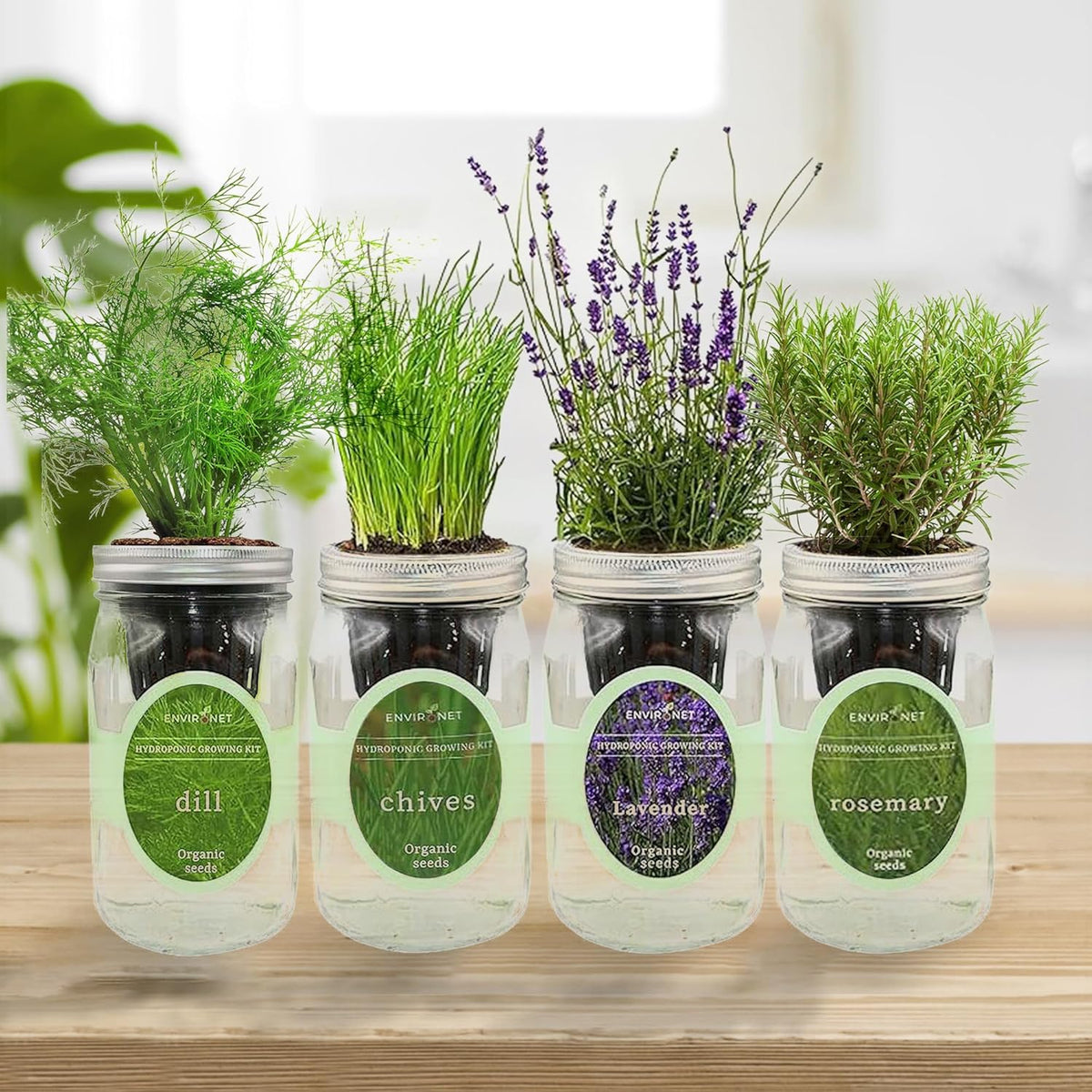 Hydroponic Herb Growing Kit Set, Self-Watering Mason Jar Herb Garden Starter Kit Indoor, Grow 4 Kinds of Herbs from Seeds (Chives,Dill,Lavender&Rosemary)