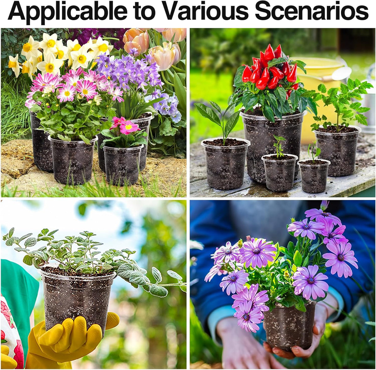 Bonviee 30 Packs 6.7/5/4 Inch Clear Nursery Pots for Plants, Plastic Seedling Pots with Drainage Holes, Planters for Indoor Plants and Transparent Seed Starter Pots with 10 Plant Labels