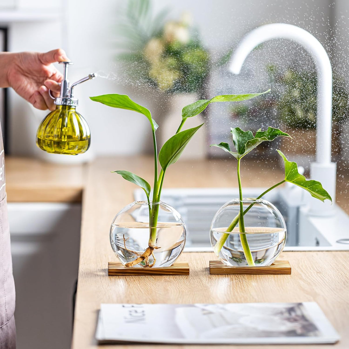 Glass Planter Propagation Station with Wooden Base - Clear Oblate Hydroponic Vase, Decorative Desktop Flower Vase for Home, Office, Windowsill - Gift for Plant Lovers (4)