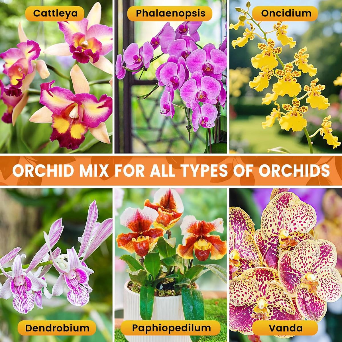 Legigo 2 QT Orchid Potting Mix- Natural Orchid Soil Mix for Repotting with Moss, Pine Bark, Coco Peat and Perlite, Enhanced Drainage Orchid Bark Potting Mix Repotting Kit for Indoor Plant Growth
