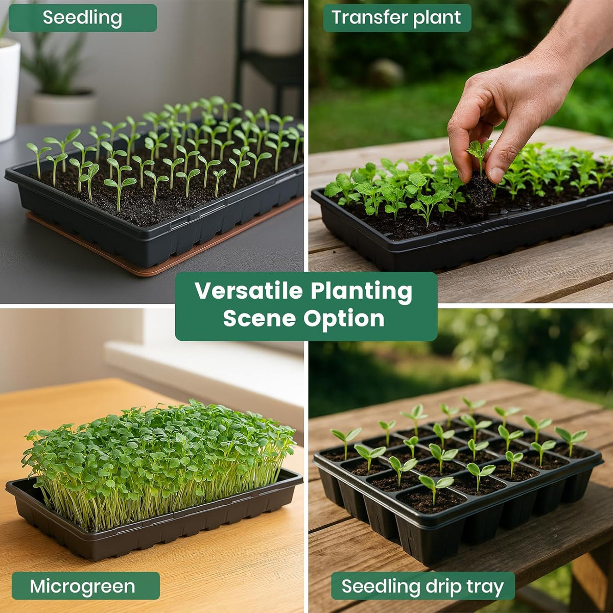MIXC 10 Pack 1020 Seed Starter Trays, Extra Thick Heavy Duty Trays - No Holes, No Leak, Reusable Propagation Flats for Microgreens, Seedlings, Plant Germination, Fodder and Transplant