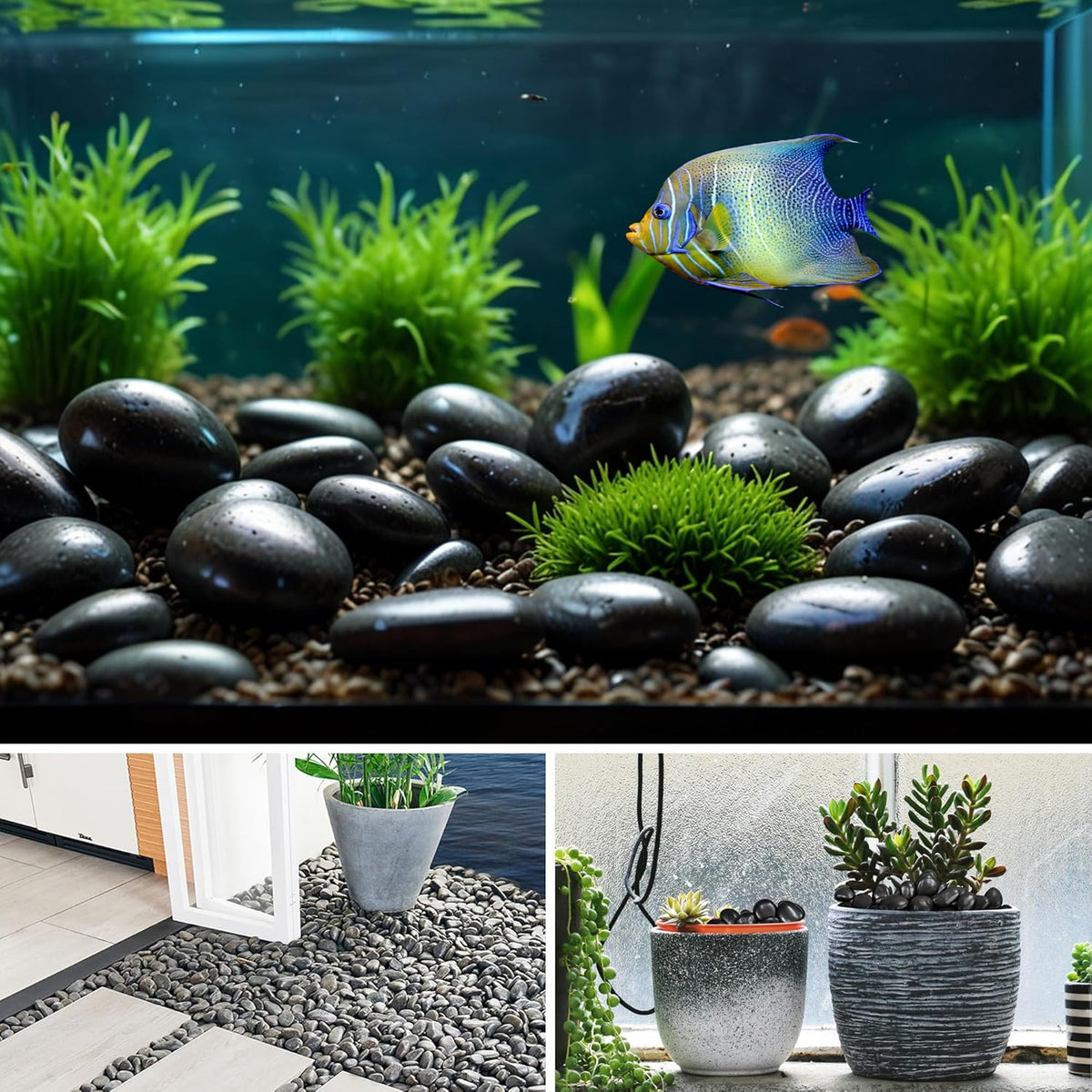 5lbs Large Pebbles for Indoor Plants, 2-3 Inch Natural Black River Rocks for Aquarium, High Polished Decorative Stones for Vase Filler Fish Tank Landscaping Garden