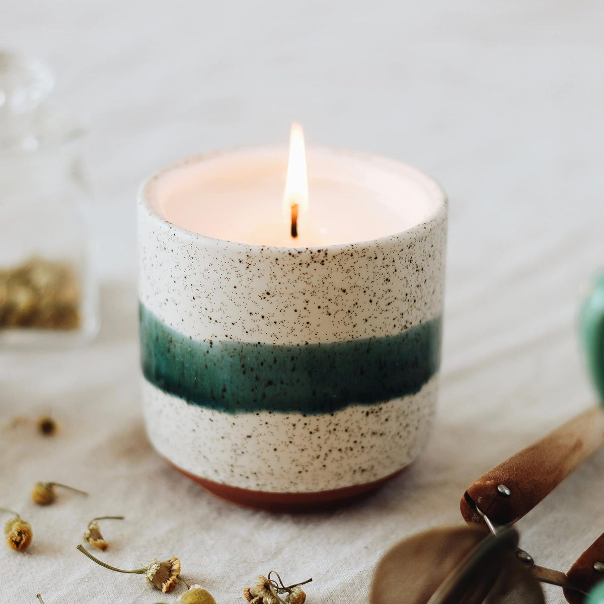 The Growing Candle, Lavender Scented, 8.5oz Ceramic Pot, Single Wick Aromatherapy Candles, 100% Soy for Women and Men, Edith