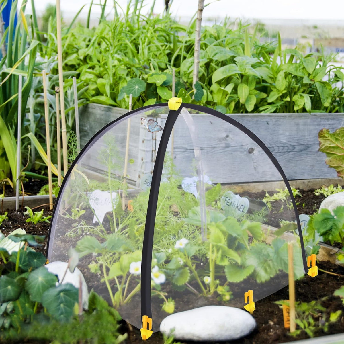 22 x 22 x 23 Inch Insect Barrier Plant Tent Cover-Bug Guard Cover with Stakes-Insect Bird Barrier Netting Mesh for Protect Vegetable Plants Fruits Flowers from Birds Animal Eating(S)