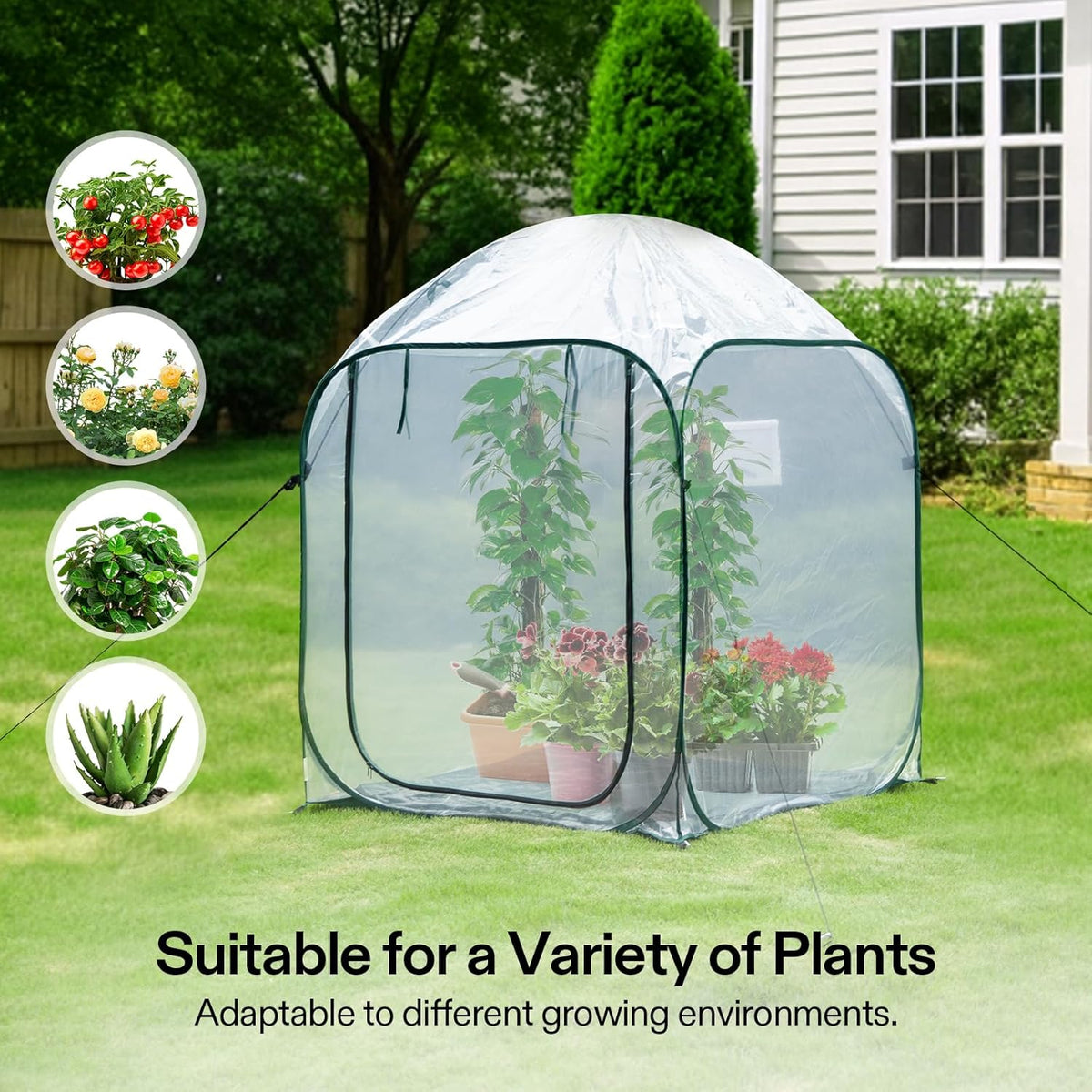 VIVOSUN 49x49x63-Inch Portable Walk-in Greenhouse, with PVC Cover & Detachable Base, Instant Pop-up and Folding, Mini Greenhouse with Roll-Up Door & Mesh Window for Indoor Outdoor, Wind Ropes Included