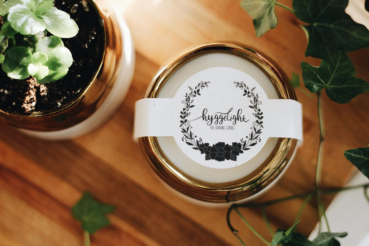 The Growing Candle, Coffee Scented, 10oz Ceramic Pot, Aromatherapy Candles, 100% Soy, Cream and Espresso Aroma for Home, Clara